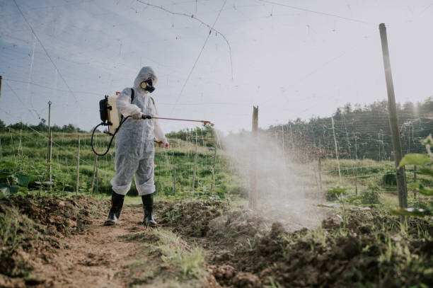 Best Mosquito Control Services  in North Belle Vernon, PA