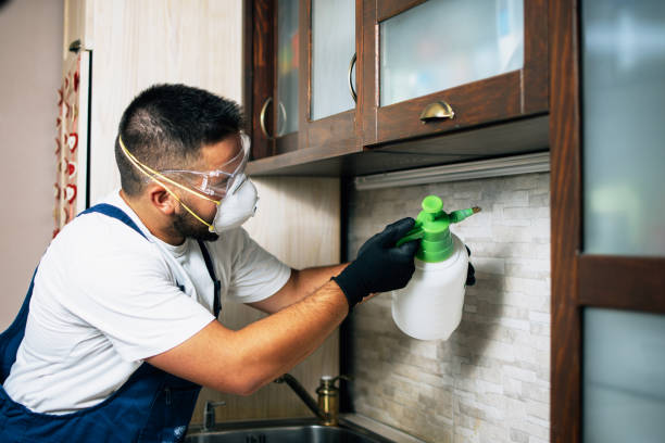 Best Pest Removal Services  in North Belle Vernon, PA