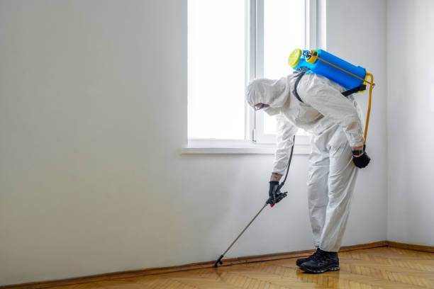 Best Flea Control Services  in North Belle Vernon, PA
