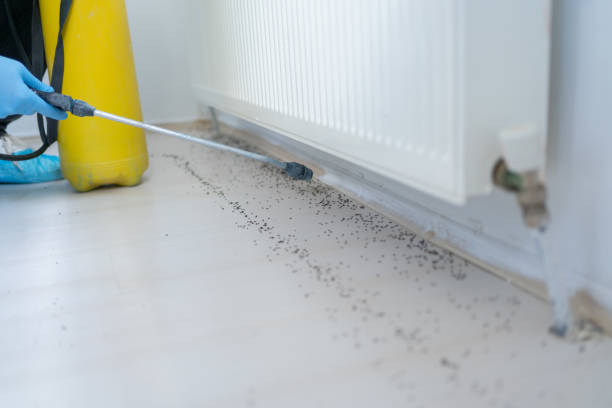 North Belle Vernon, PA Pest Control Pros