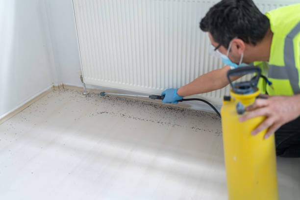 Best Local Pest Control Services  in North Belle Vernon, PA